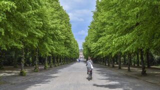 神奈川 横浜 大型ホームセンター 大きいホームセンター 厳選10店舗 島忠 ホームズ スーパービバホームなど 店舗情報